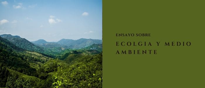 ecologia y medio ambiente ensayo