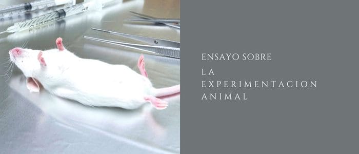 ensayo a favor de la experimentacion con animales
